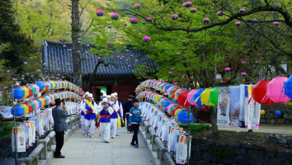 [春]麻谷寺新绿庆典