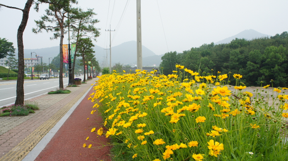 한옥마을 주변에 꽃 풍경 이미지