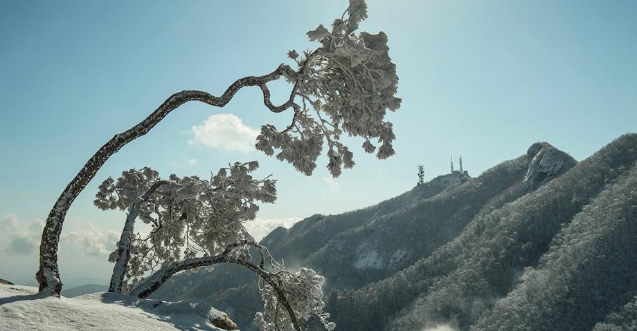 계룡산지킴이 | 입선 이미지